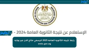 رابط نتيجة الثانوية العامة 2025 الرسمي متاح الآن عبر بوابة emis.gov.eg